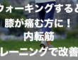 コロナで運動不足解消にウォーキング!でも、しばらくすると痛む「膝痛」を改善する内転筋トレーニングはこれだ!