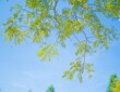エネルギーが満たさている自分をつくる〜その２〜